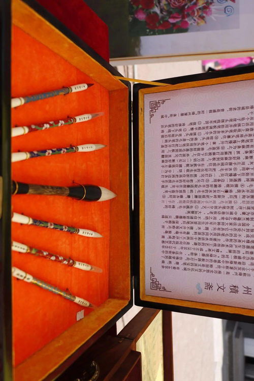 技能 讓生活更美好 2021年新絳縣職業(yè)教育活動周啟動