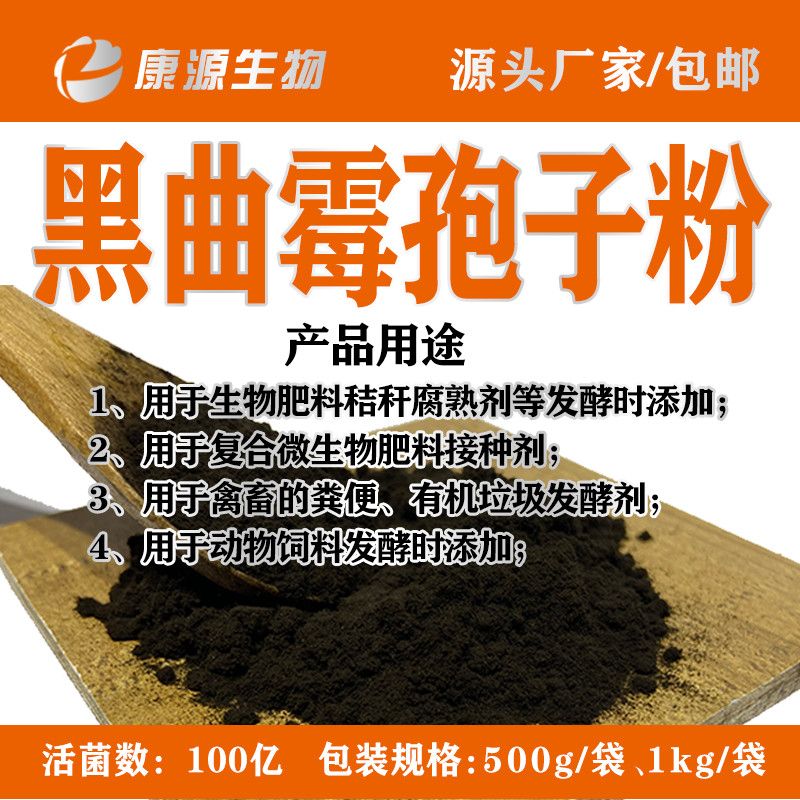 黑曲霉的黑色菌落培養(yǎng)物-圖_醫(yī)學教育網(wǎng)