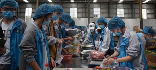 我市第一高級中學開展 走進工廠 勞動教育實踐活動